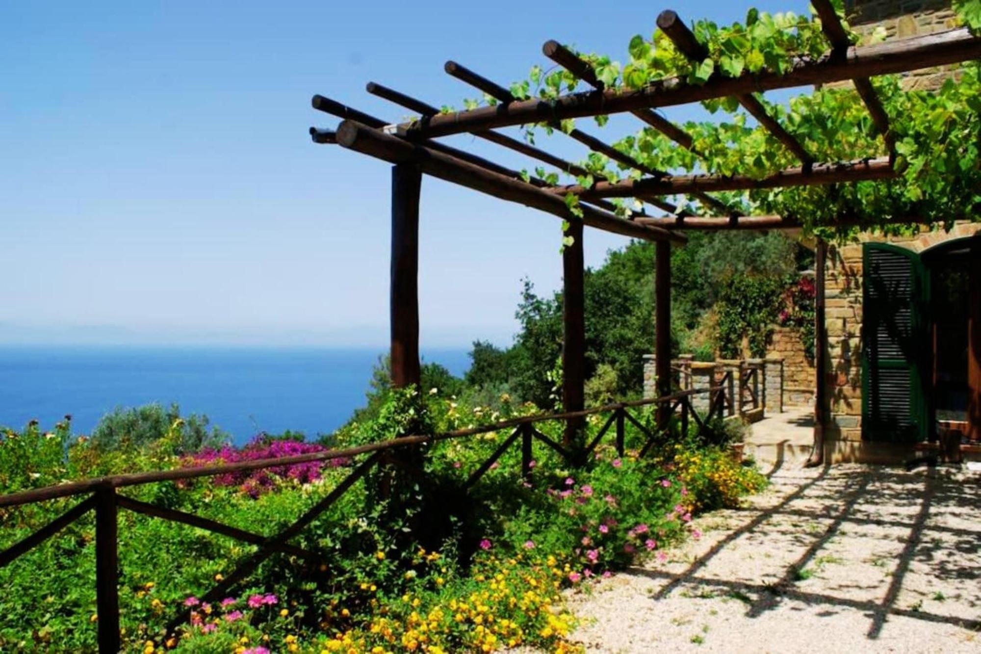 קסטלבאטה Bellezza In Cilento Panoramic Apts מראה חיצוני תמונה